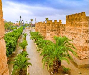 Villa du Cerf Serenity in the Atlas Mountains & Timeless Charm