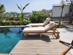 Stone Villa in the Pines Special Pool Garden BBQ and Jacuzzi for Two Families