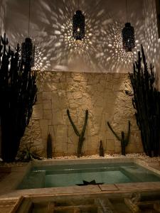 Riad Belharra