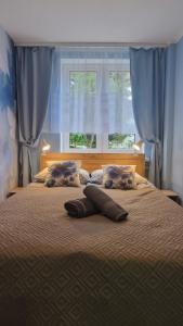 Apartament Gwiazda Źródlane Zacisze