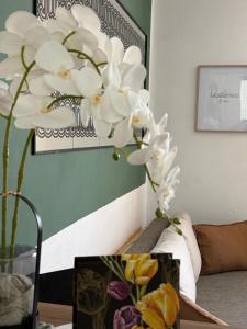 Utešené Apartmány - Bratislava - Trnavské mýto