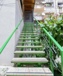 Green House