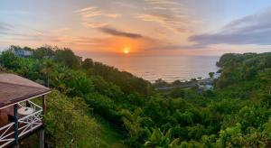 I VIEW - in Long Bay