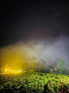 Misty Crest Cottage Vagamon