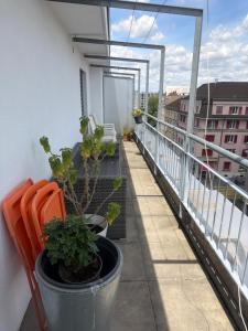 Wohnung mit Terrasse