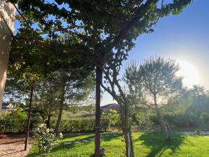 Dimitra Houses 2 - Seaside