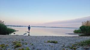App 8o - Großer Tag am Meer mit Wasserblick in Dranske