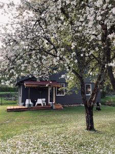 Pelēkā Māja, forestside getaway house for cosy stays