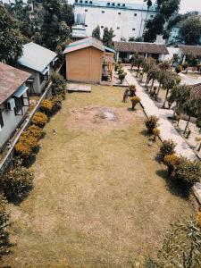 Safariwildlife lodge & camp