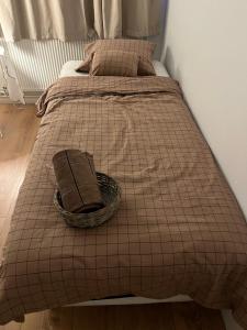 Quarto single