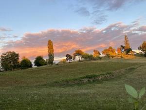 Le poulailler, Domaine de la Bastide
