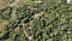 Casa vacanza Stazzu Saiacciu img24