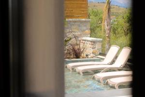 Luxury Villa Oasis