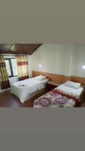 Safariwildlife lodge & camp