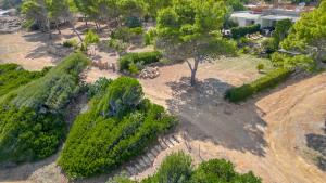 Villa Damiano img19
