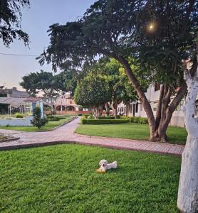 Hospedaje Central Talara - a pocos minutos del aeropuerto y centro de la ciudad