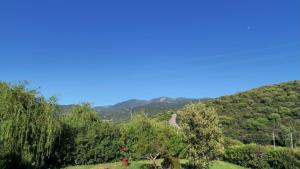 Casa Terme e Mare img15