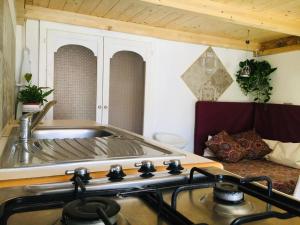 B&B SHARDANA img15
