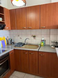 Paralion Apartment in Paralia, Katerinis