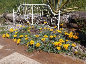 Vacanze nel Cilento
