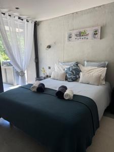 Gites Les Rochers de Plaisians avec piscine privée
