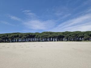 Vacation Apartment Ruggero 1 with Sea View
