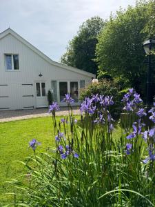 Residentie Eys Anno 1929