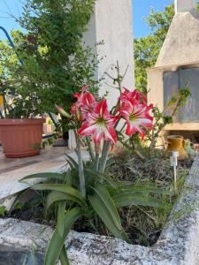 La Dimora di Helen