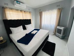 Wamz Apartments And Tours A
