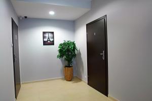 Greyhouse