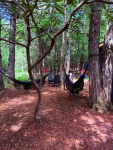 Bear Trails Retreat-Pocono Getaway Near Kalahari