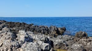 Appartamento vicino al castello