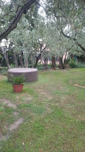 La Teodolinda