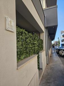 V&V Apartment