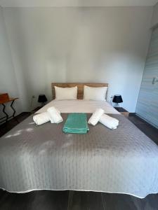 Pebble Home