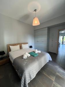 Pebble Home