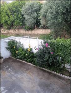 Mariannas Home - Comfort & Relaxation in Messinia