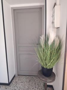 Les studios proche du Mont Ventoux