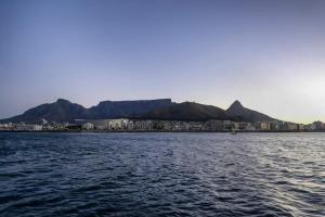 Only One Yacht Cape Town
