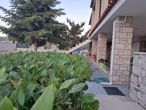 Lakka Athikia suites