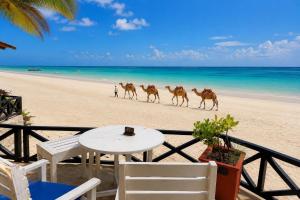 Asha Boutique Hotel
