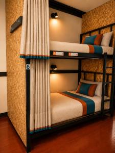 Terra House Hostel
