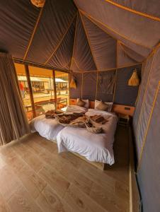 Sahara Tour Morocco