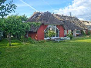 Ferienhaus Sommer