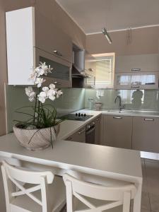 Apartment Francos