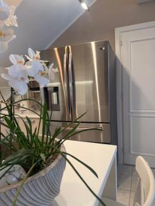 Apartment Francos