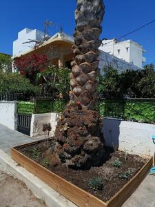 Homy seaside studio Quiet stay near center