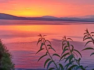 Apartments by the beach Adela Senj
