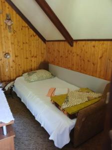 Hidden Nest For Two
