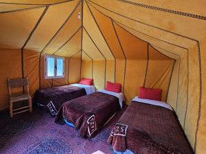 Arena Hostel Camp